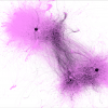 otis_fig005.png