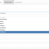 brizio-meneses_fig05.png